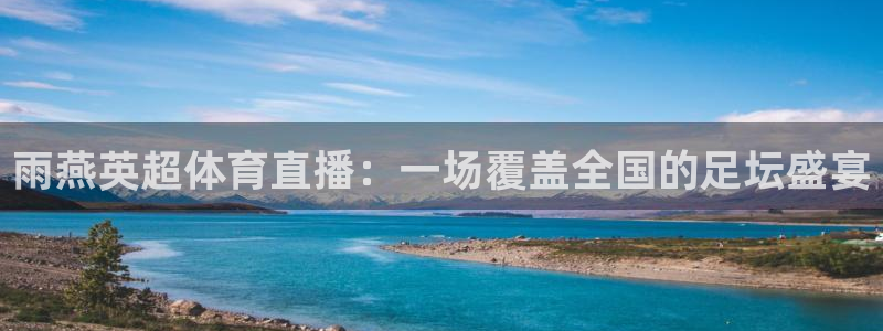 雨燕英超体育直播：一场覆盖全国的足坛盛宴
