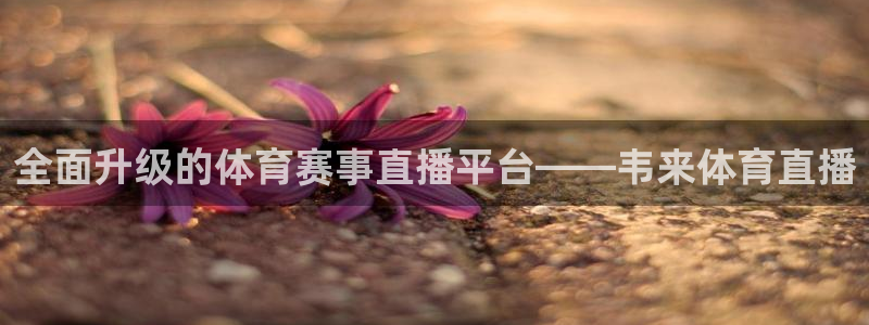 全面升级的体育赛事直播平台——韦来体育直播
