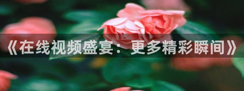 《在线视频盛宴：更多精彩瞬间》