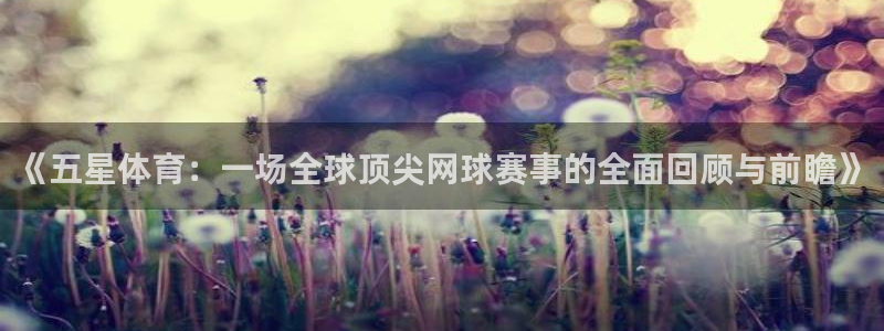 《五星体育：一场全球顶尖网球赛事的全面回顾与前瞻》