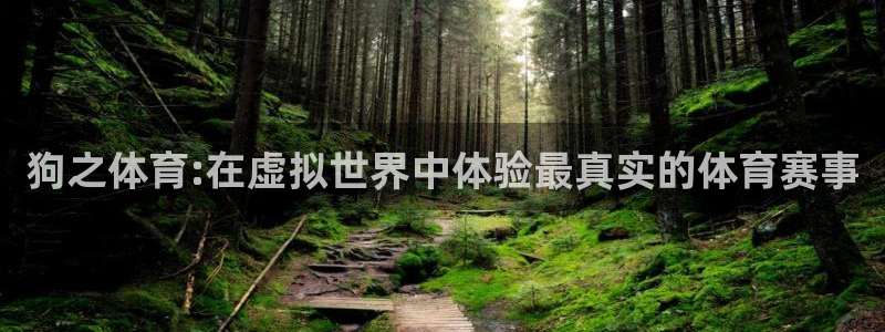 狗之体育:在虚拟世界中体验最真实的体育赛事