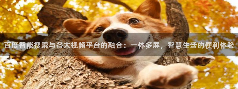 百度智能搜索与各大视频平台的融合：一体多屏，智慧生活的便利体验