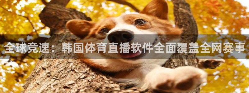 全球竞速：韩国体育直播软件全面覆盖全网赛事