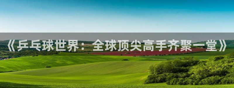 《乒乓球世界：全球顶尖高手齐聚一堂》