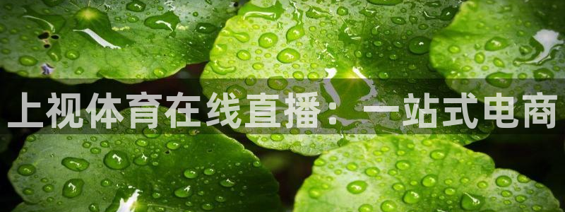 上视体育在线直播：一站式电商