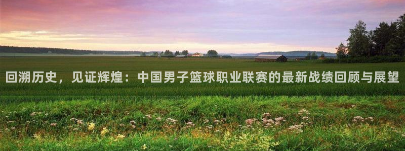 回溯历史，见证辉煌：中国男子篮球职业联赛的最新战绩回顾与展望
