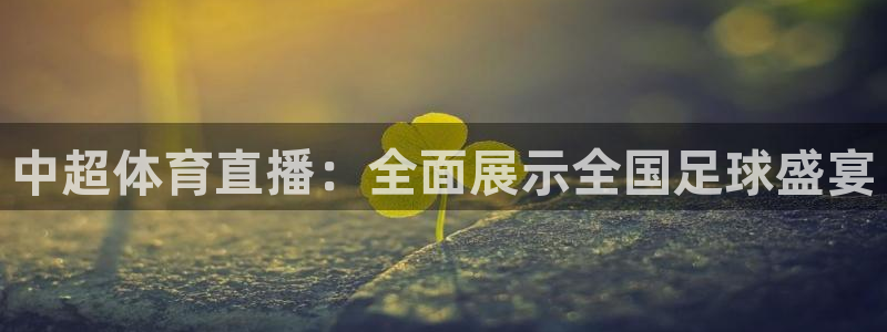 中超体育直播：全面展示全国足球盛宴