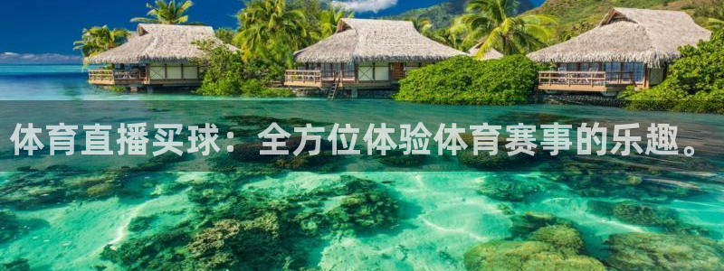 体育直播买球：全方位体验体育赛事的乐趣。