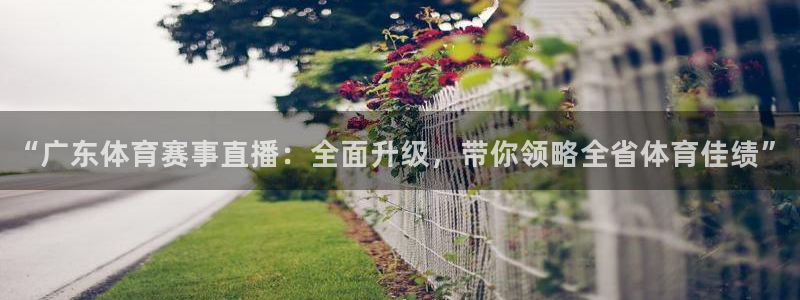 “广东体育赛事直播：全面升级，带你领略全省体育佳绩”