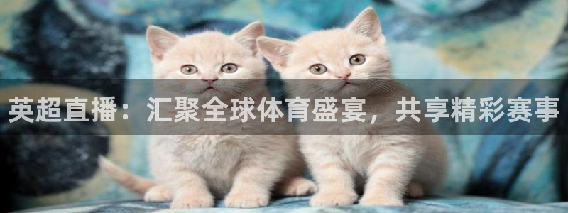 英超直播：汇聚全球体育盛宴，共享精彩赛事