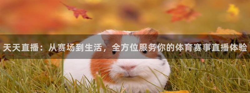 天天直播：从赛场到生活，全方位服务你的体育赛事直播体验