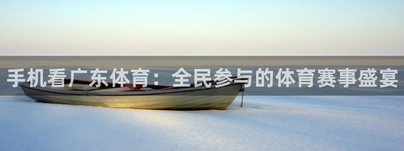 手机看广东体育：全民参与的体育赛事盛宴