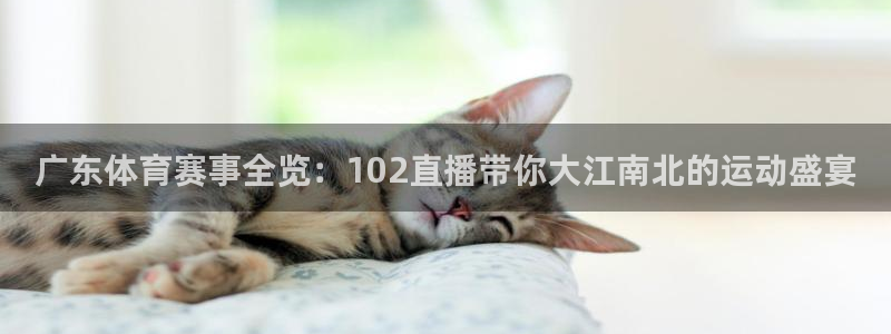 广东体育赛事全览：102直播带你大江南北的运动盛宴