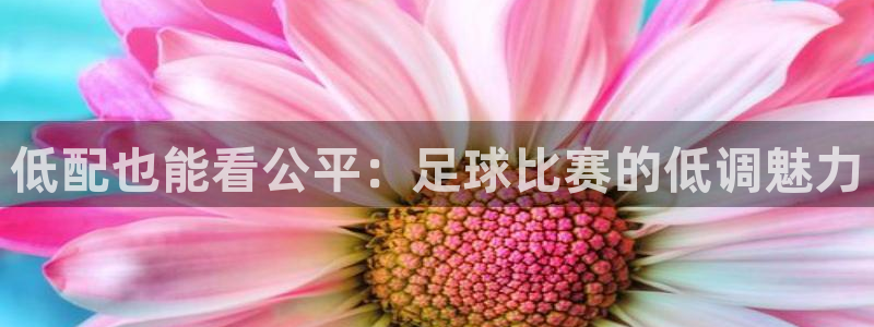 低配也能看公平：足球比赛的低调魅力
