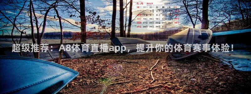 超级推荐：A8体育直播app，提升你的体育赛事体验！