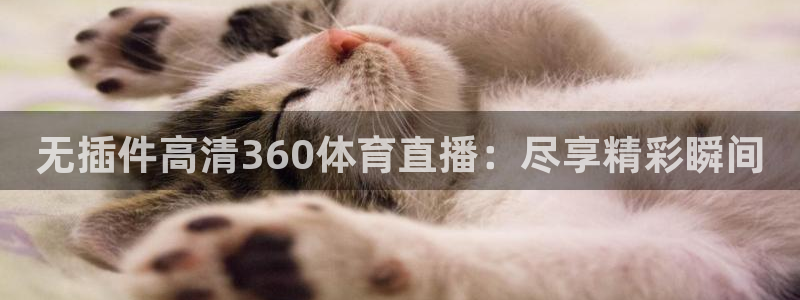 无插件高清360体育直播：尽享精彩瞬间