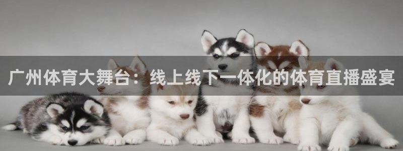 广州体育大舞台：线上线下一体化的体育直播盛宴