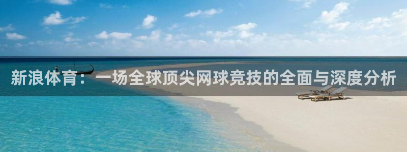 新浪体育：一场全球顶尖网球竞技的全面与深度分析