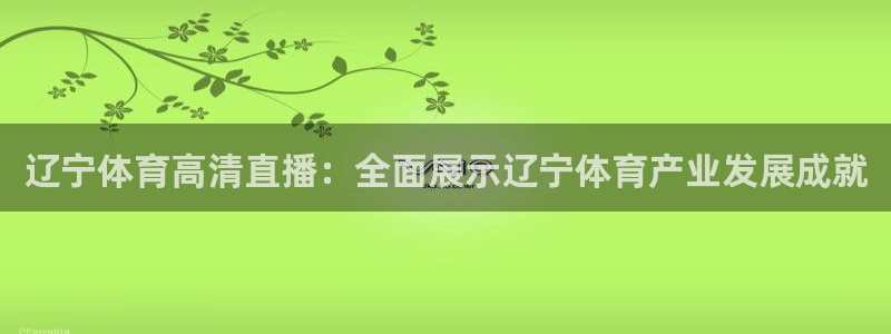 辽宁体育高清直播：全面展示辽宁体育产业发展成就