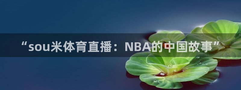 “sou米体育直播：NBA的中国故事”