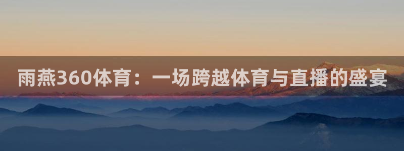 雨燕360体育：一场跨越体育与直播的盛宴
