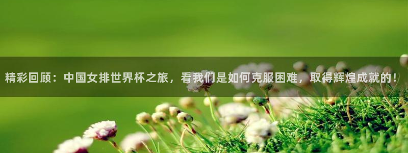 精彩回顾：中国女排世界杯之旅，看我们是如何克服困难，取得辉煌成就的！
