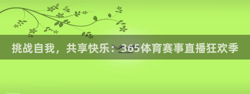 挑战自我，共享快乐：365体育赛事直播狂欢季